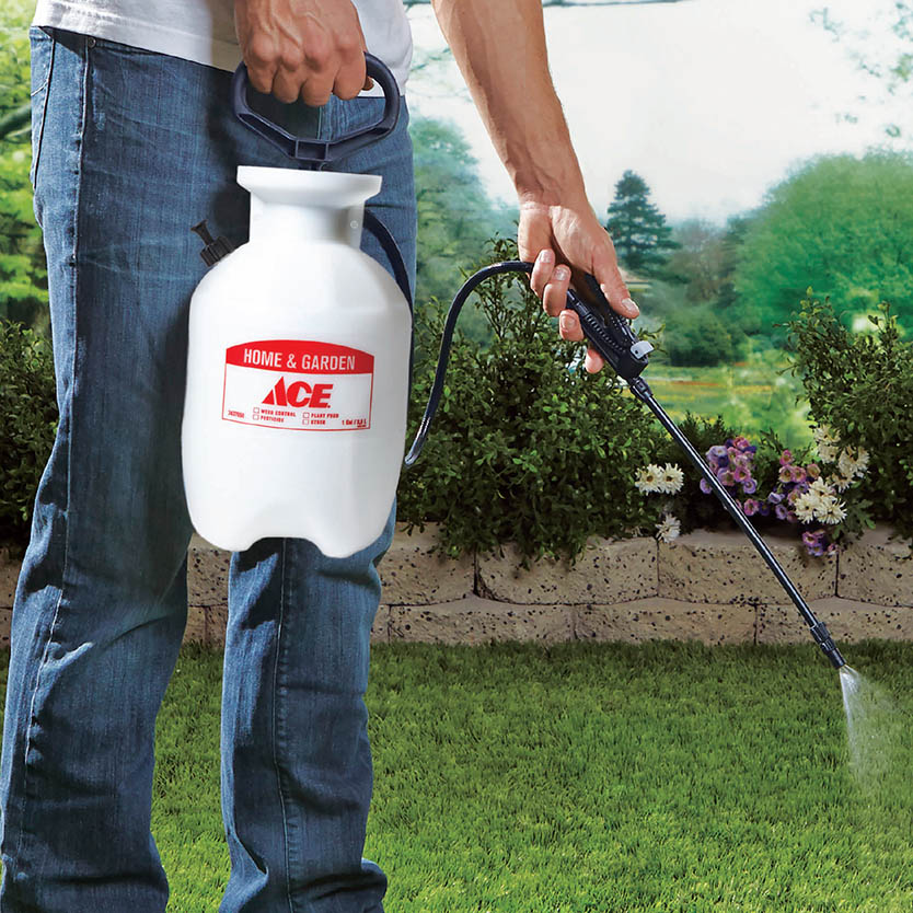 My Digital Ad | Central Florida Ace Hardware